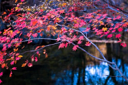 免费污视频软件界面预览